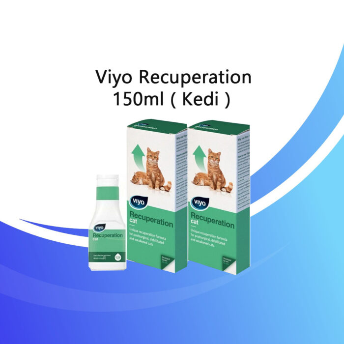 Viyo Recuperation 150ml Kedi