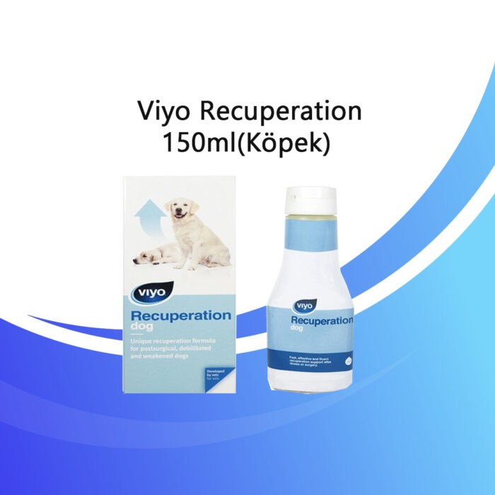 Viyo Recuperation 150ml