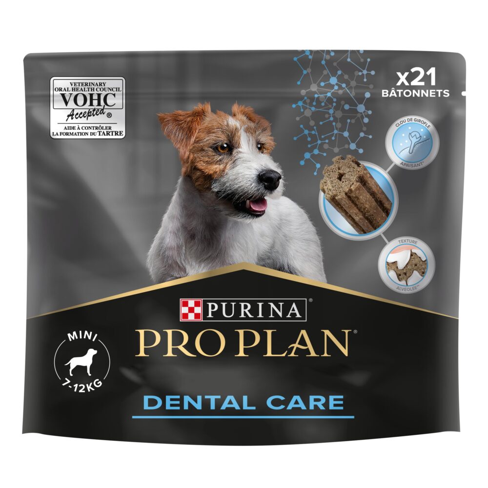 Dental Care Mını 21 Stick