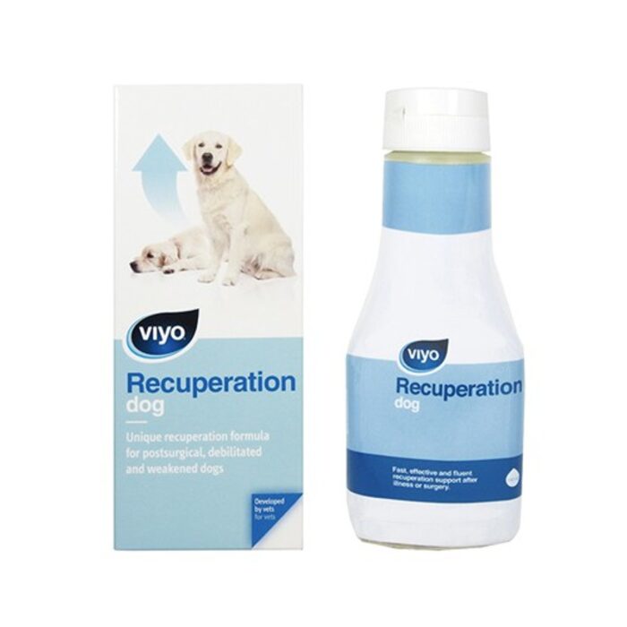 Viyo Recuperation 150ml Köpek