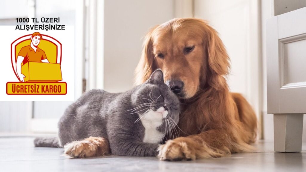 1000 TL üzeri ücretsiz