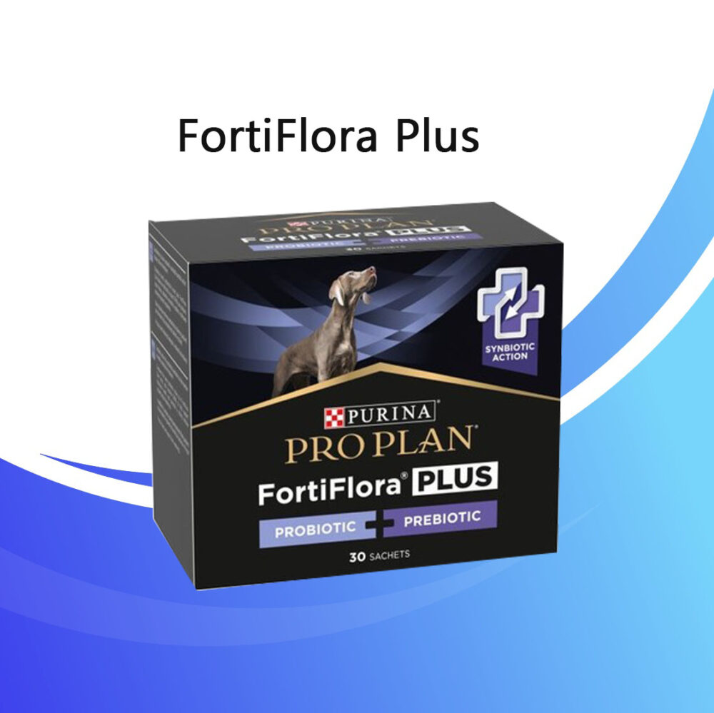 Purina FortiFlora Plus Köpek x 30 şase