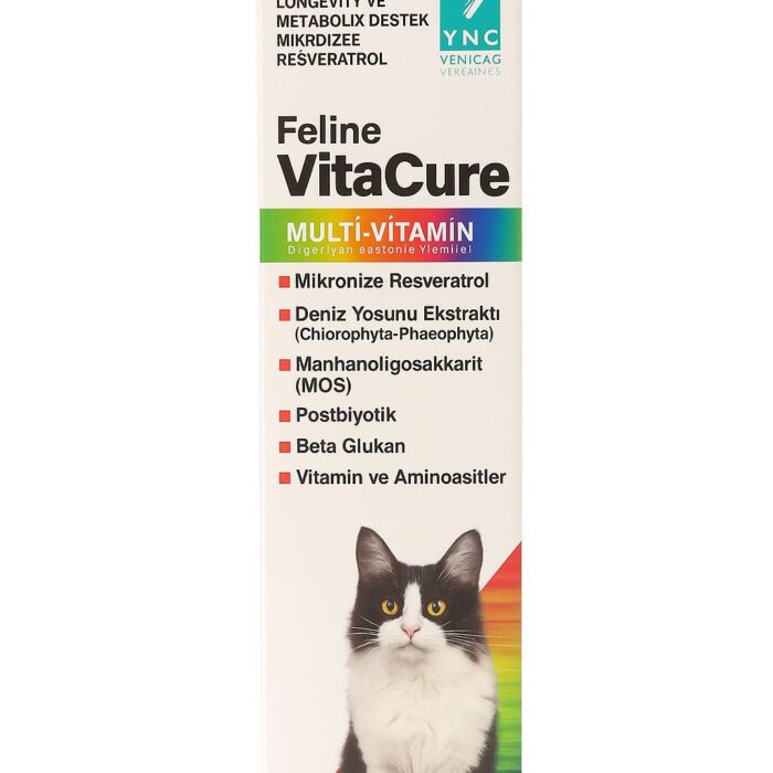 YNC VitaCure Kedi Multi vitamin Pasta