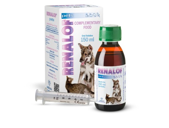 Catalysis Renalof 30 ml Oral Süspansiyon