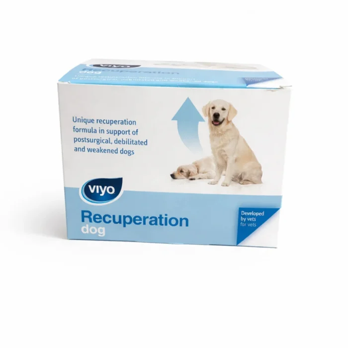 Viyo Recuperation 30x33ml Köpek